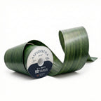 ASPIDISTRA GREEN LEAF RIBBON | 50-Yards Per Roll