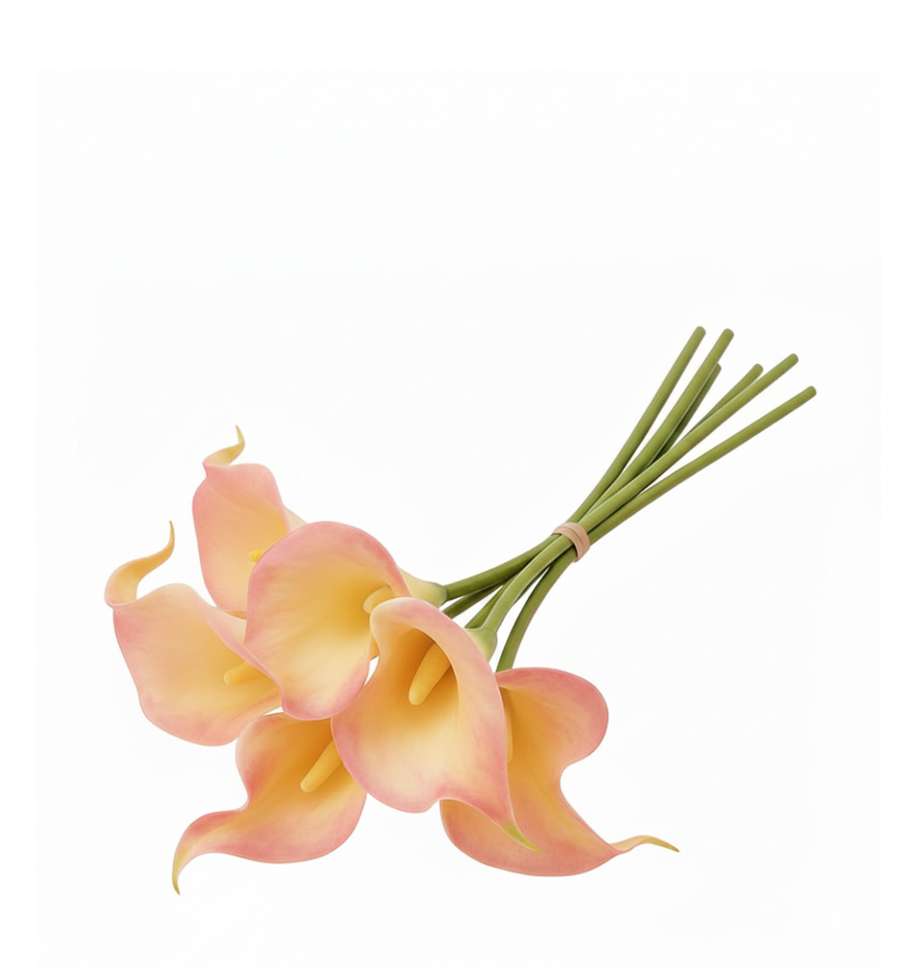 CALLA LILY - Pink