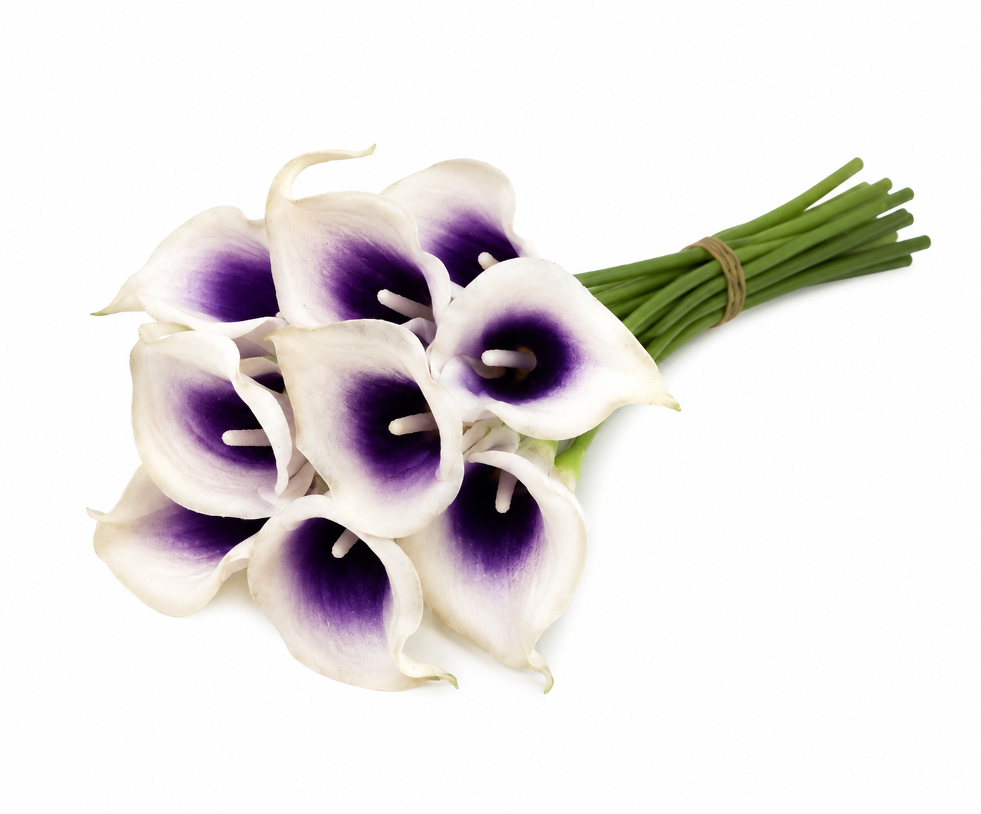 CALLA LILY