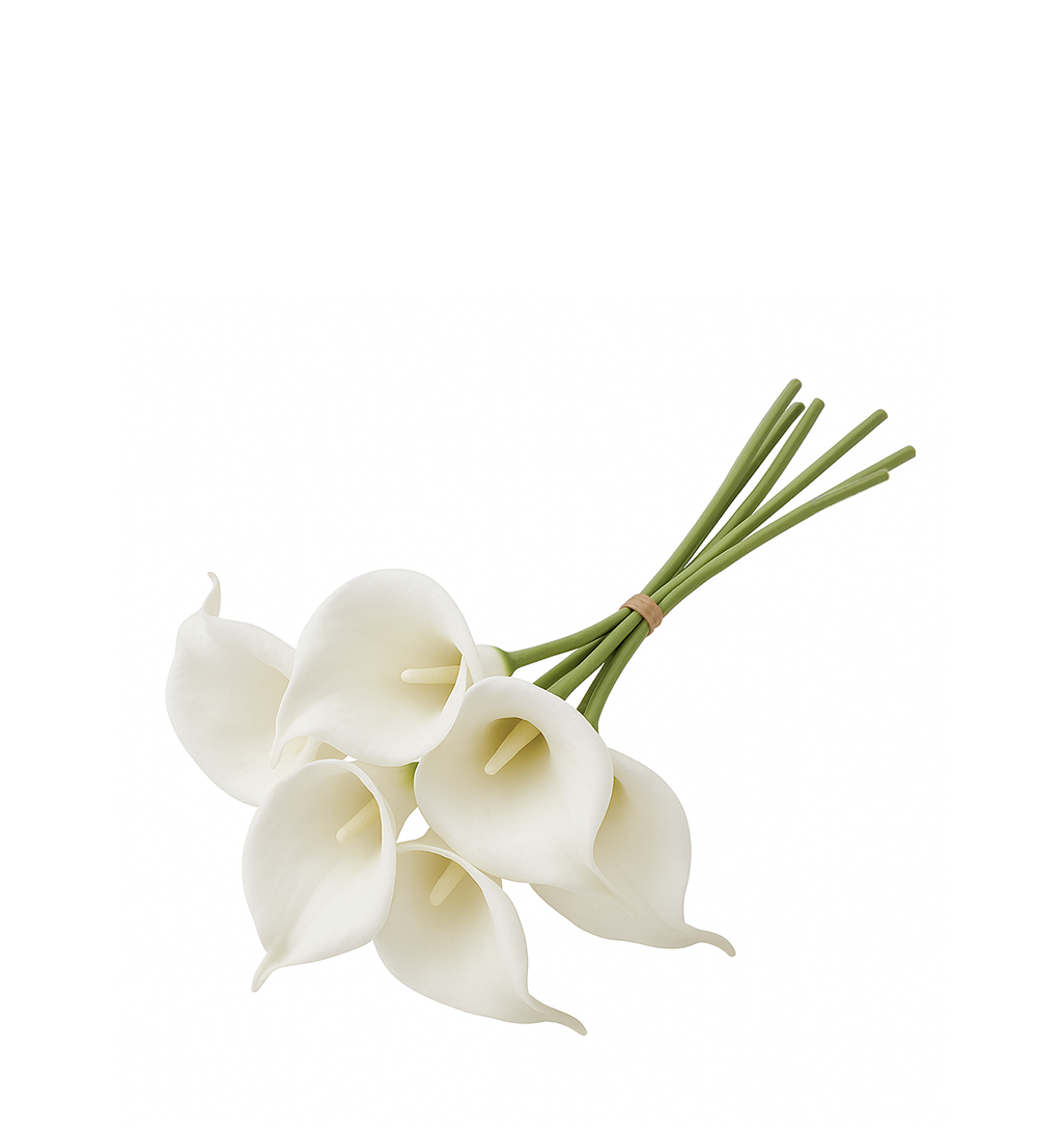 CALLA LILY