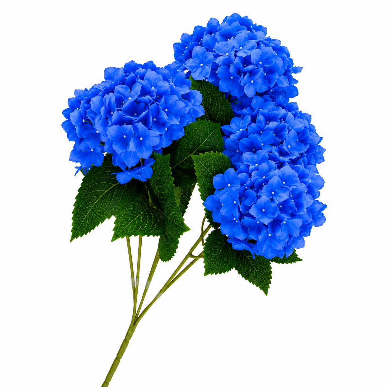 SILK HYDRANGEA | 5-Heads per Bunch
