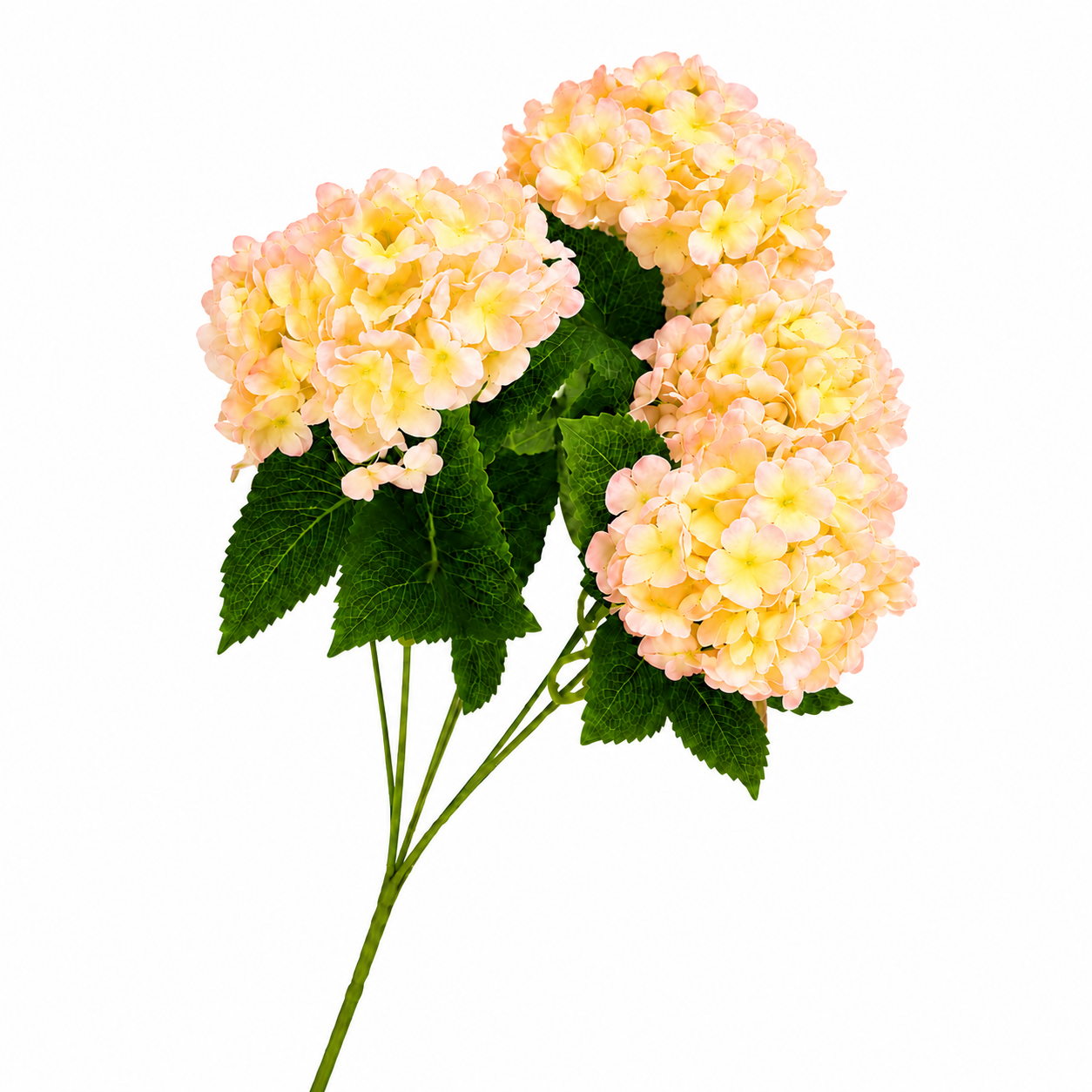 SILK HYDRANGEA | 5-Heads per Bunch
