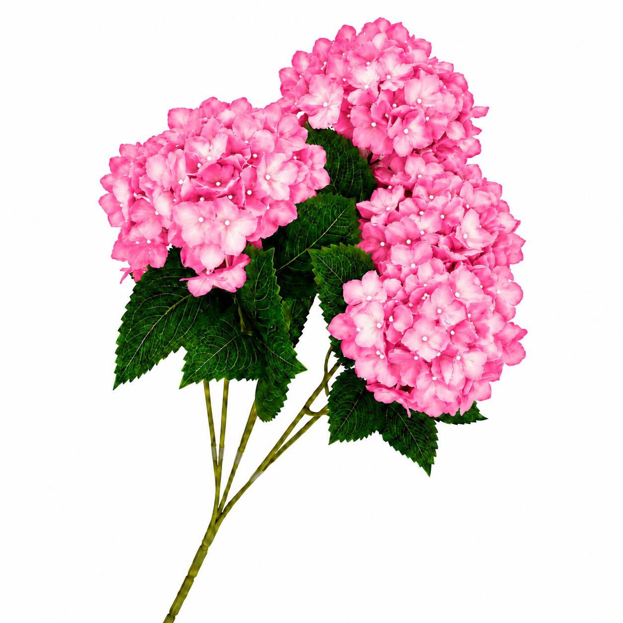 SILK HYDRANGEA | 5-Heads per Bunch