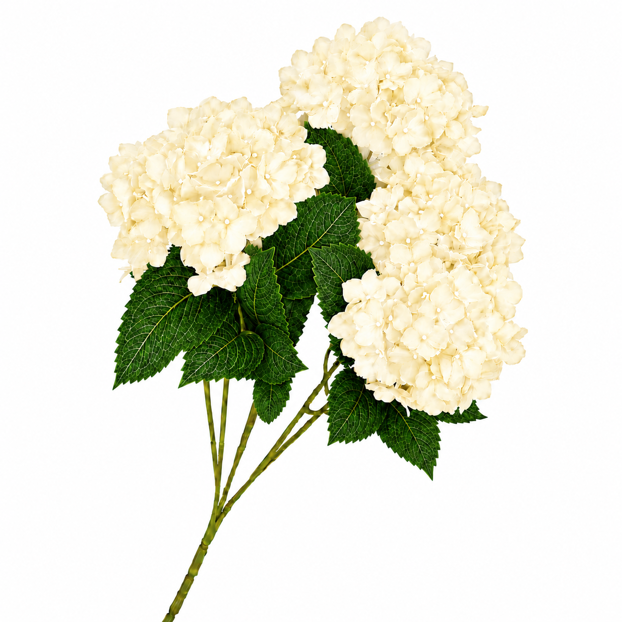 SILK HYDRANGEA | 5-Heads per Bunch