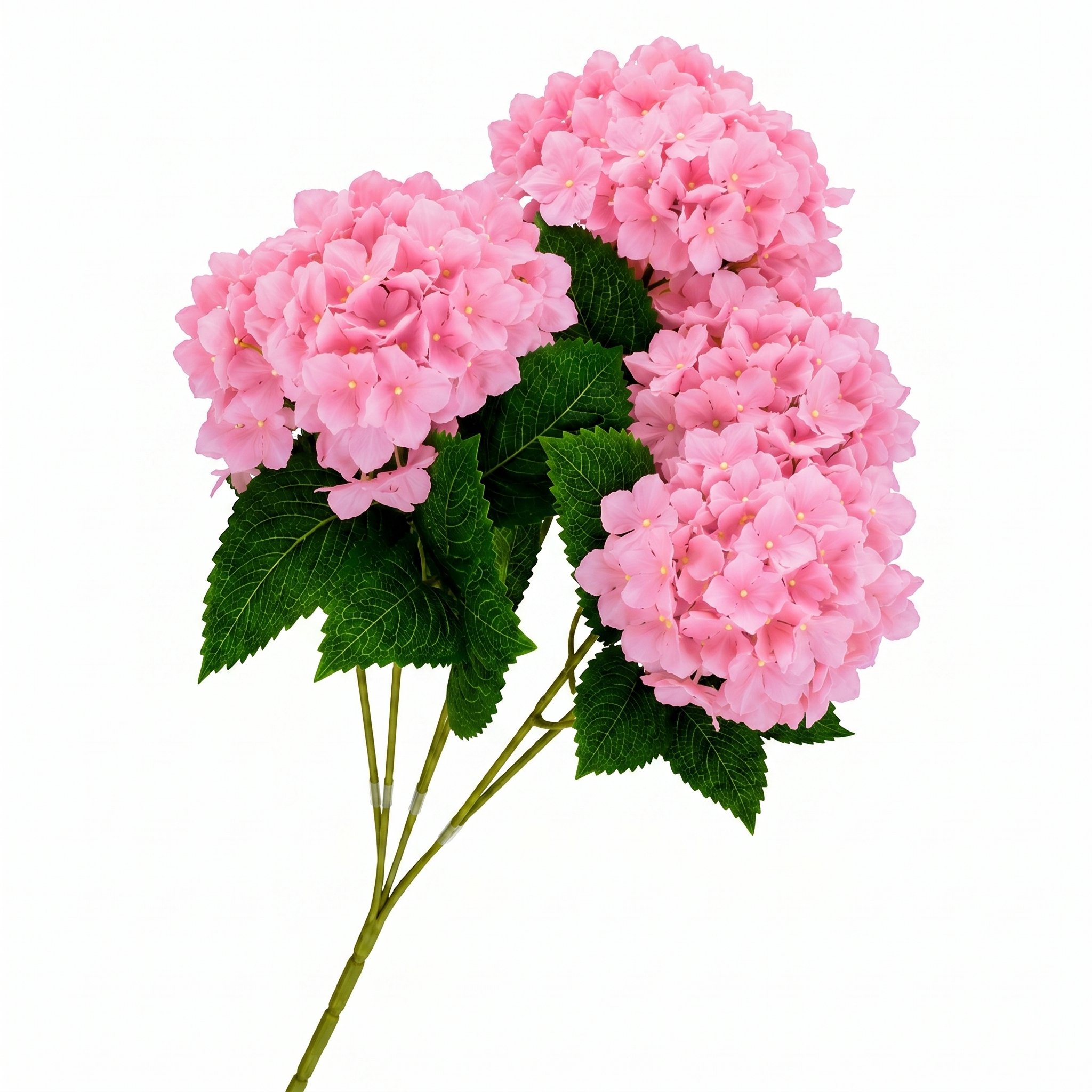 SILK HYDRANGEA | 5-Heads per Bunch