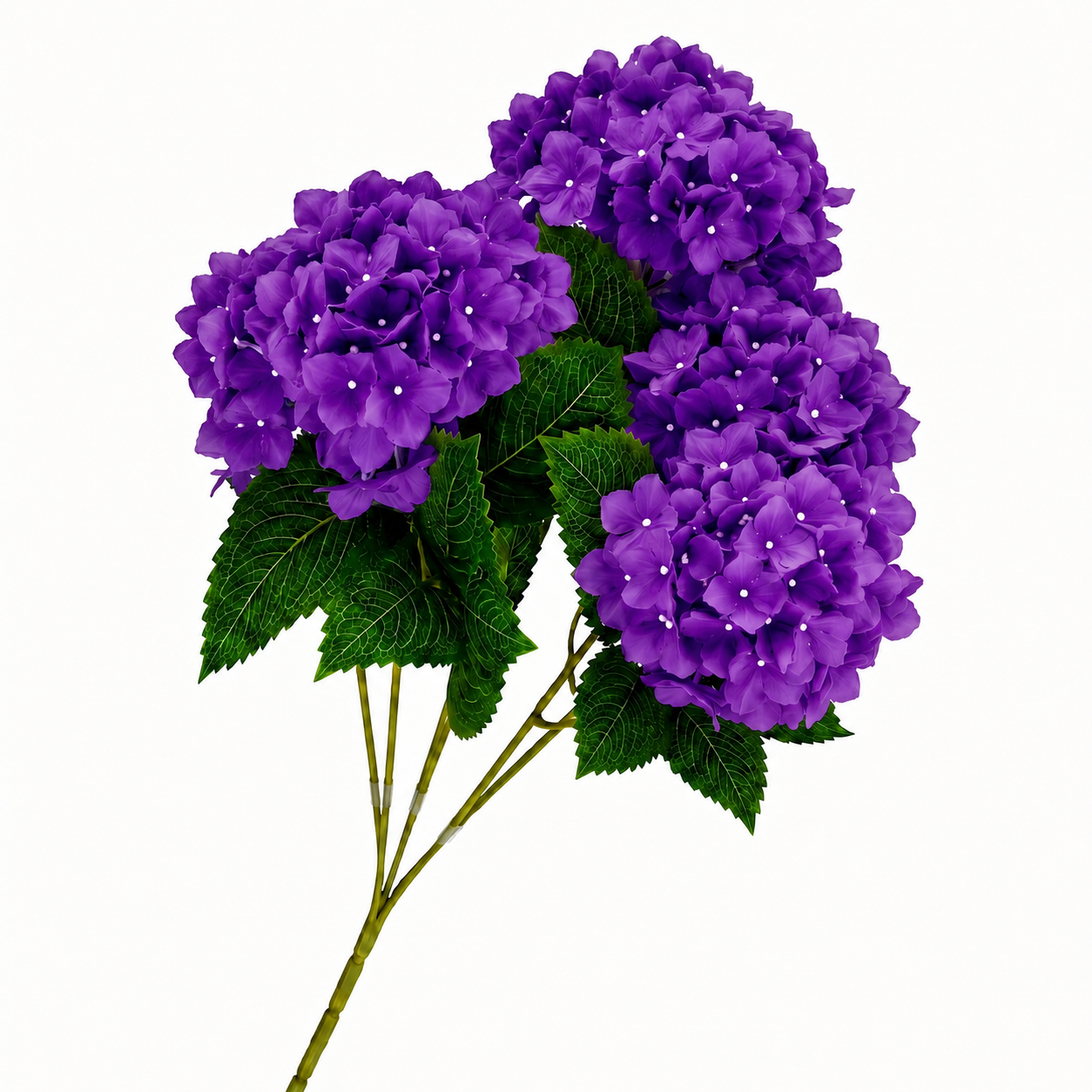 SILK HYDRANGEA | 5-Heads per Bunch