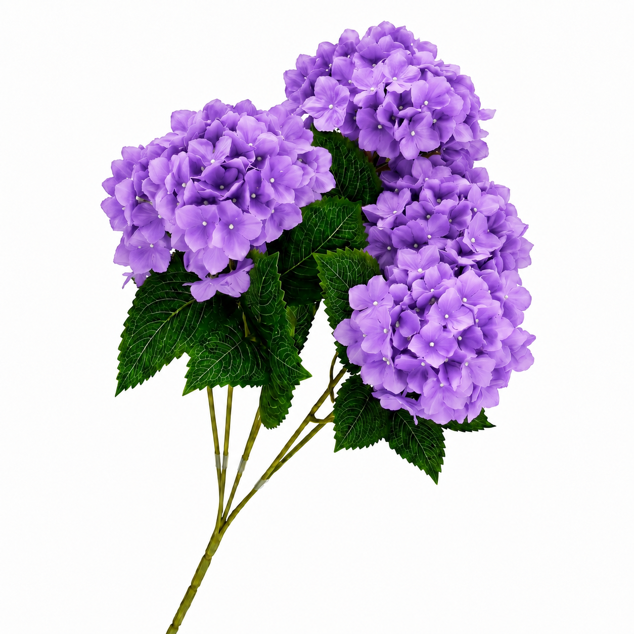 SILK HYDRANGEA | 5-Heads per Bunch