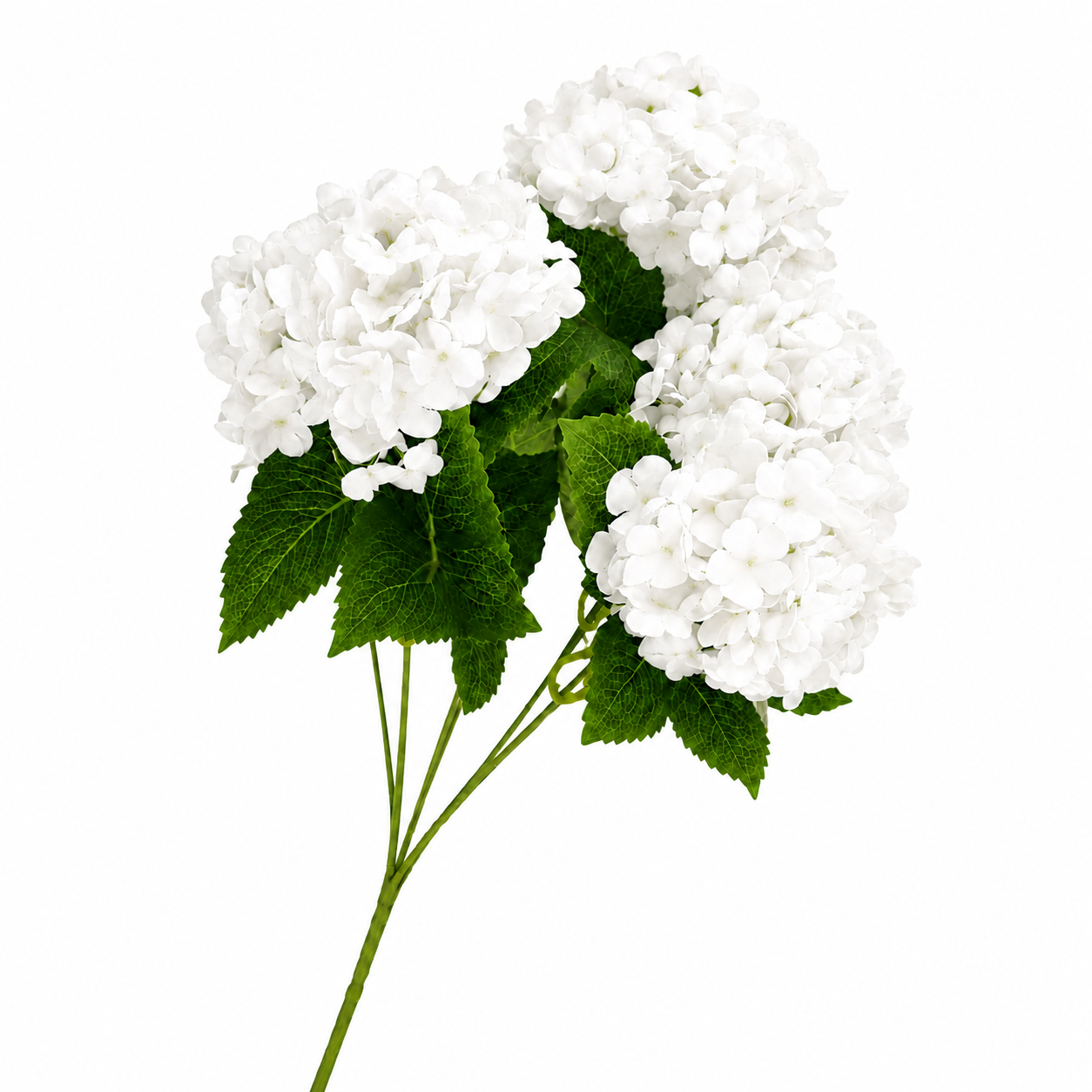 SILK HYDRANGEA | 5-Heads per Bunch