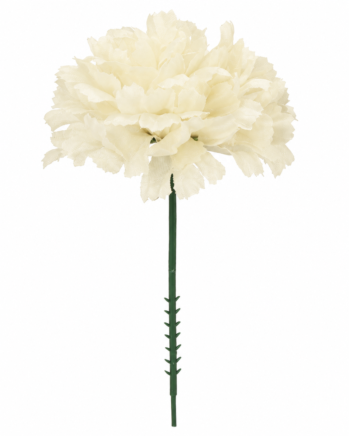 CARNATION | 100-Piece per Pack