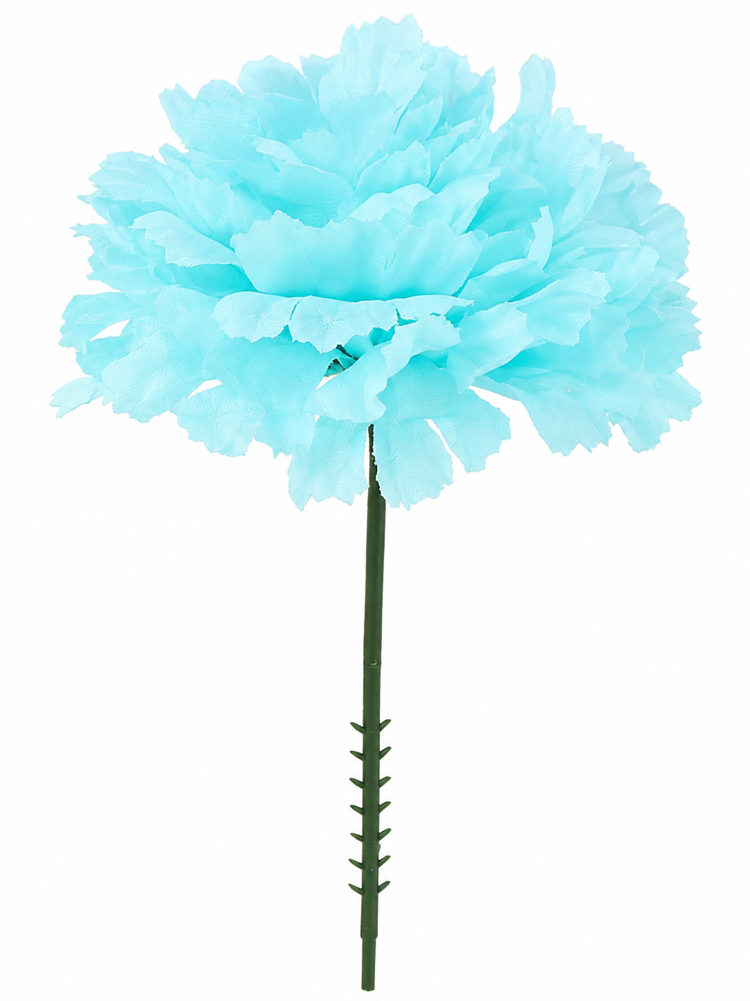 CARNATION | 100-Piece per Pack