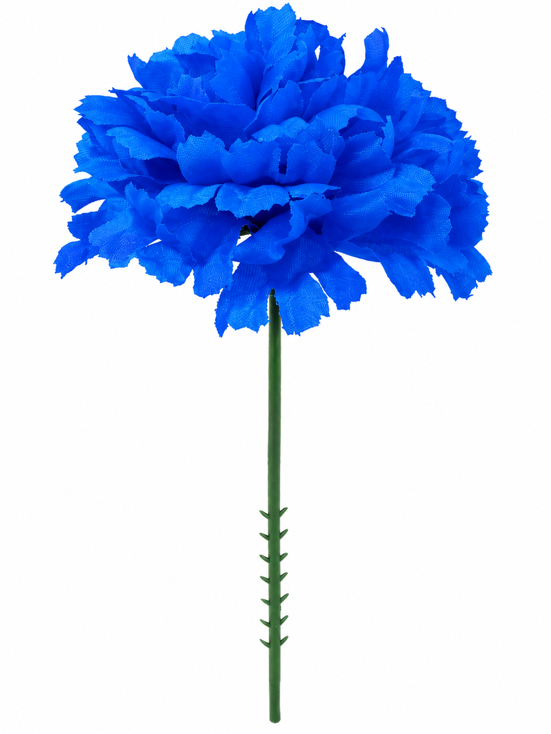 CARNATION | 100-Piece per Pack