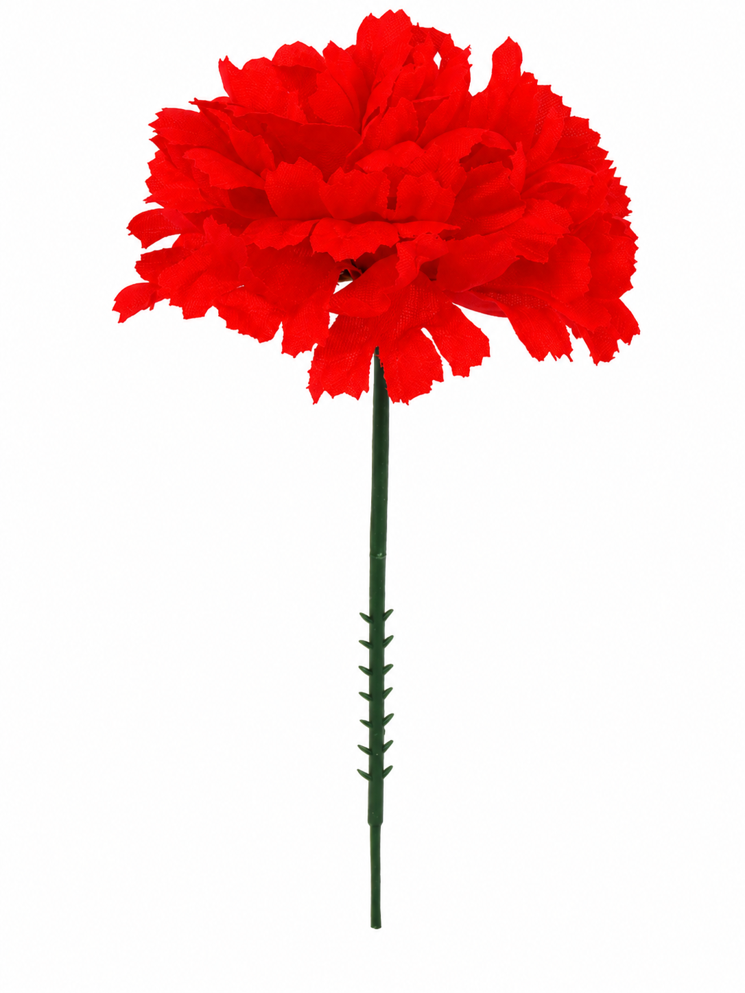 CARNATION | 100-Piece per Pack