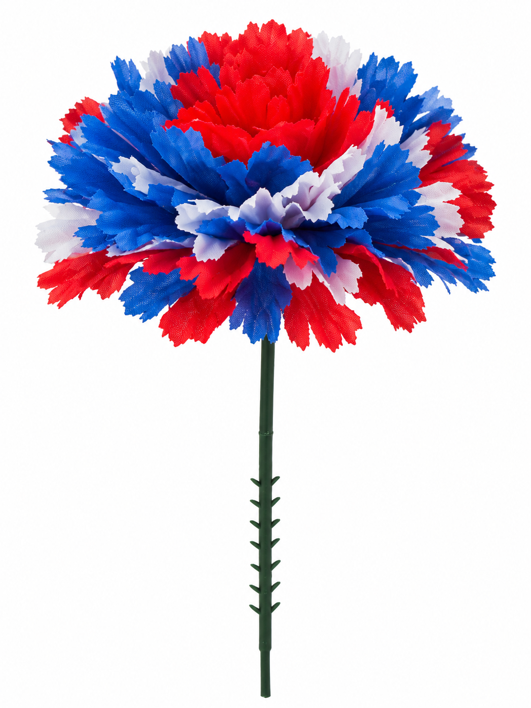 CARNATION | 100-Piece per Pack
