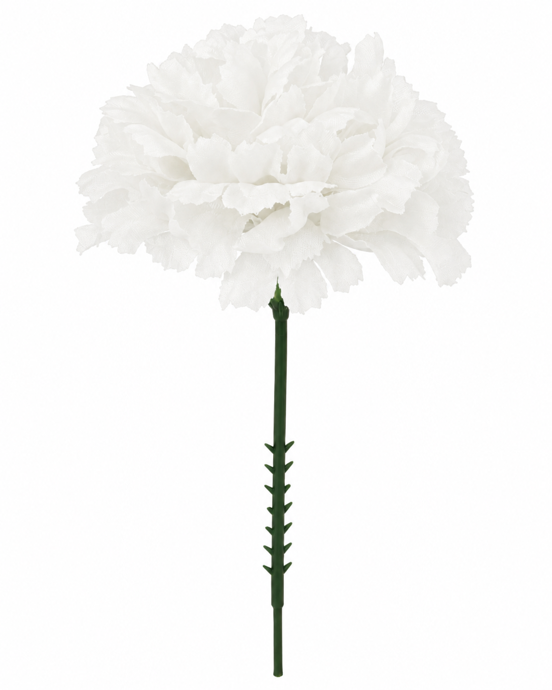 CARNATION | 100-Piece per Pack