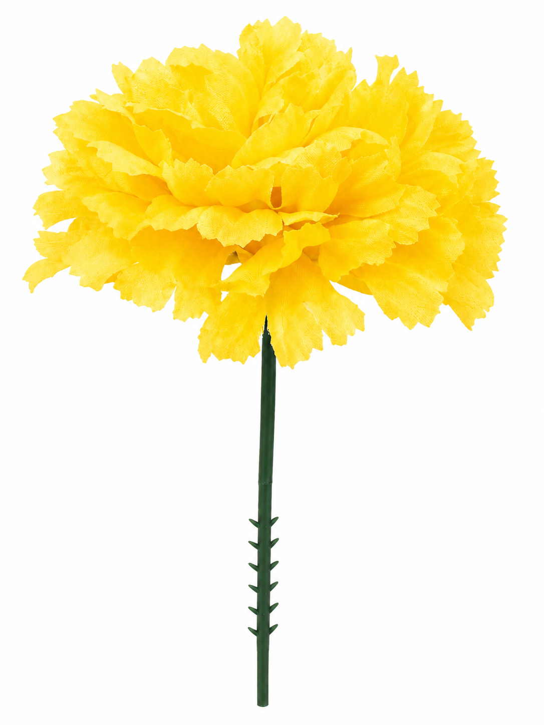 CARNATION | 100-Piece per Pack