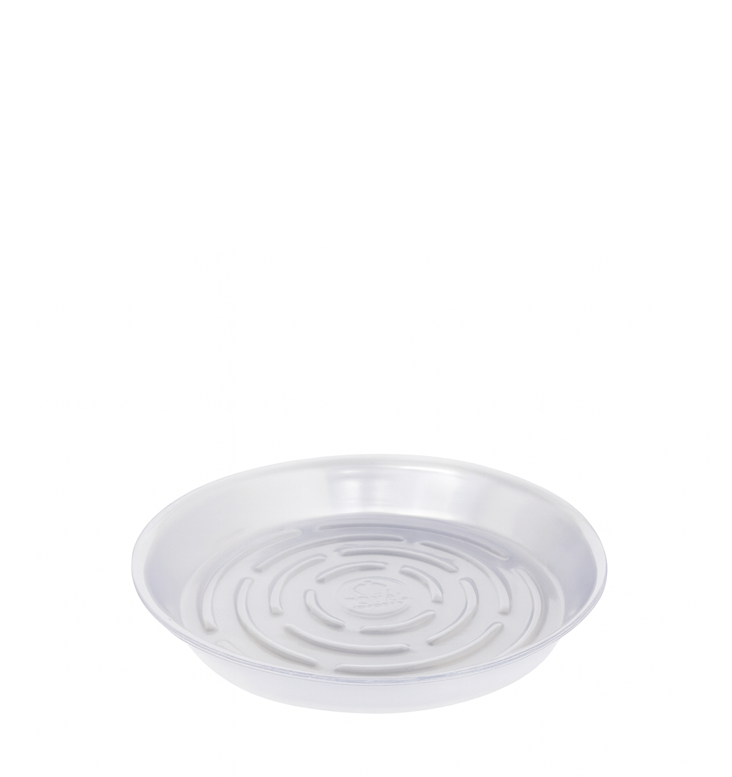 PLASTIC SAUCER - 10"