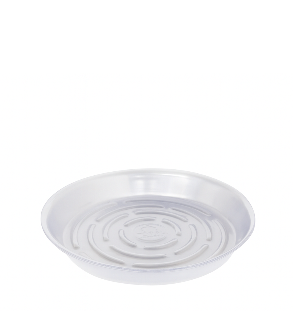PLASTIC SAUCER - 12"