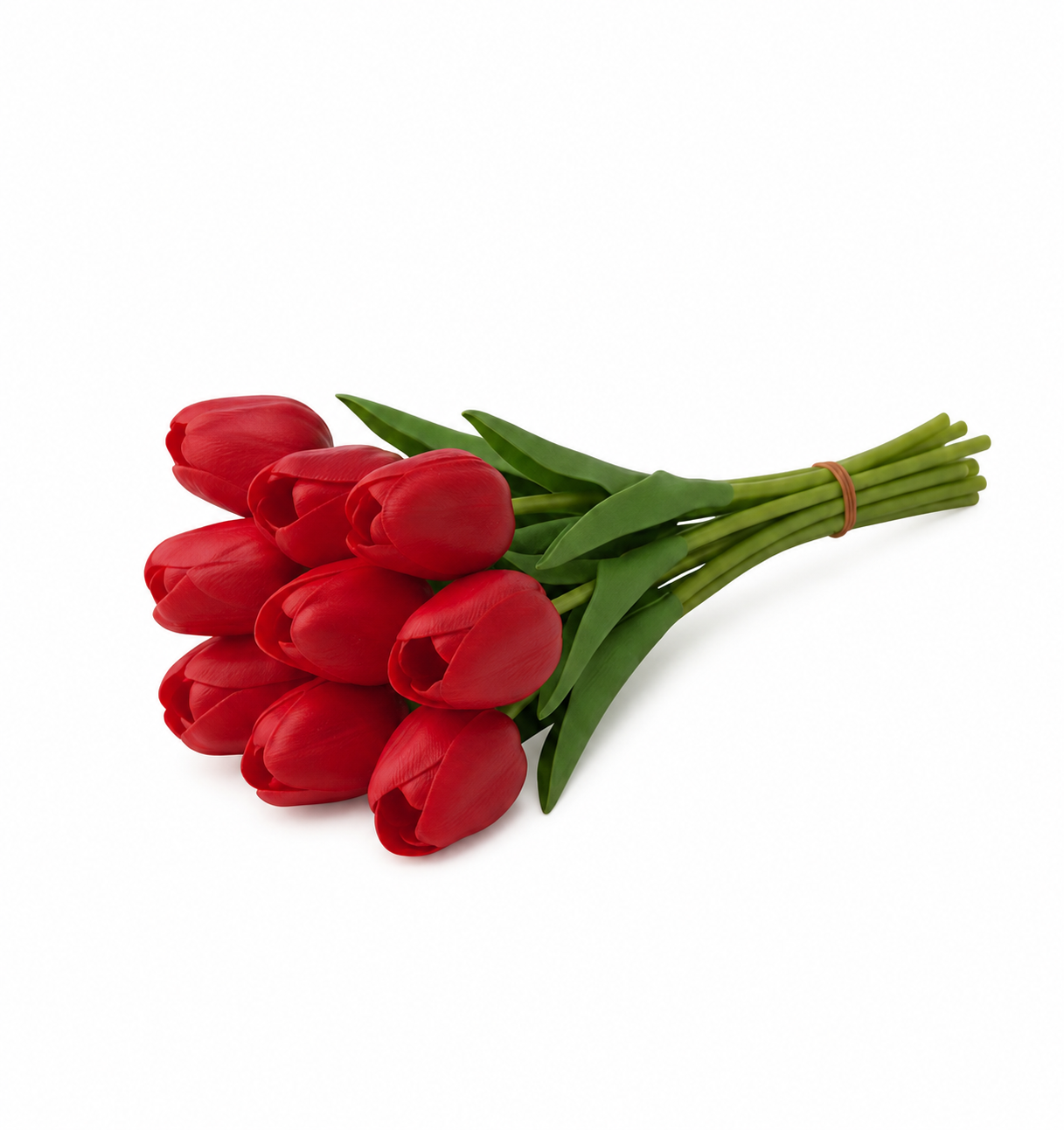TULIP | 9-Heads per Pack