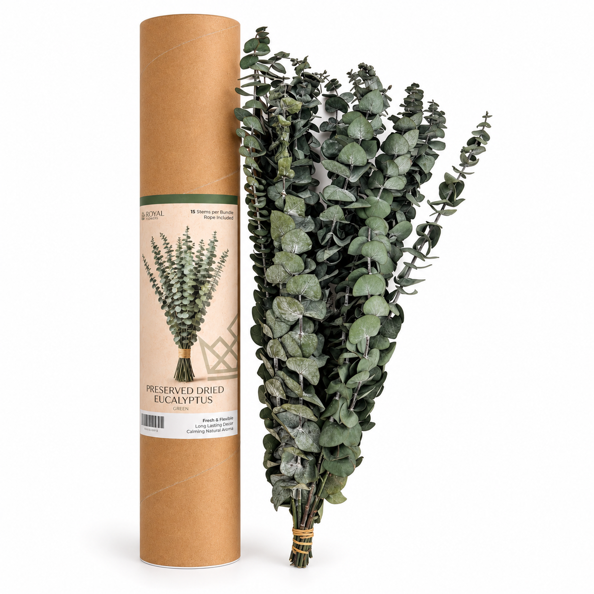 PRESERVED EUCALYPTUS