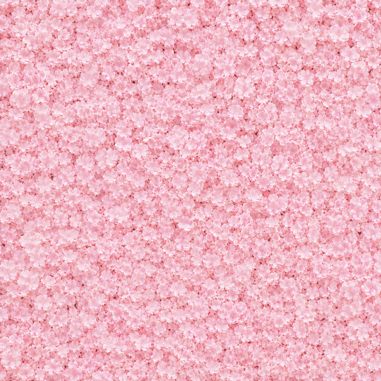 HYDRANGEA FLOWER MAT