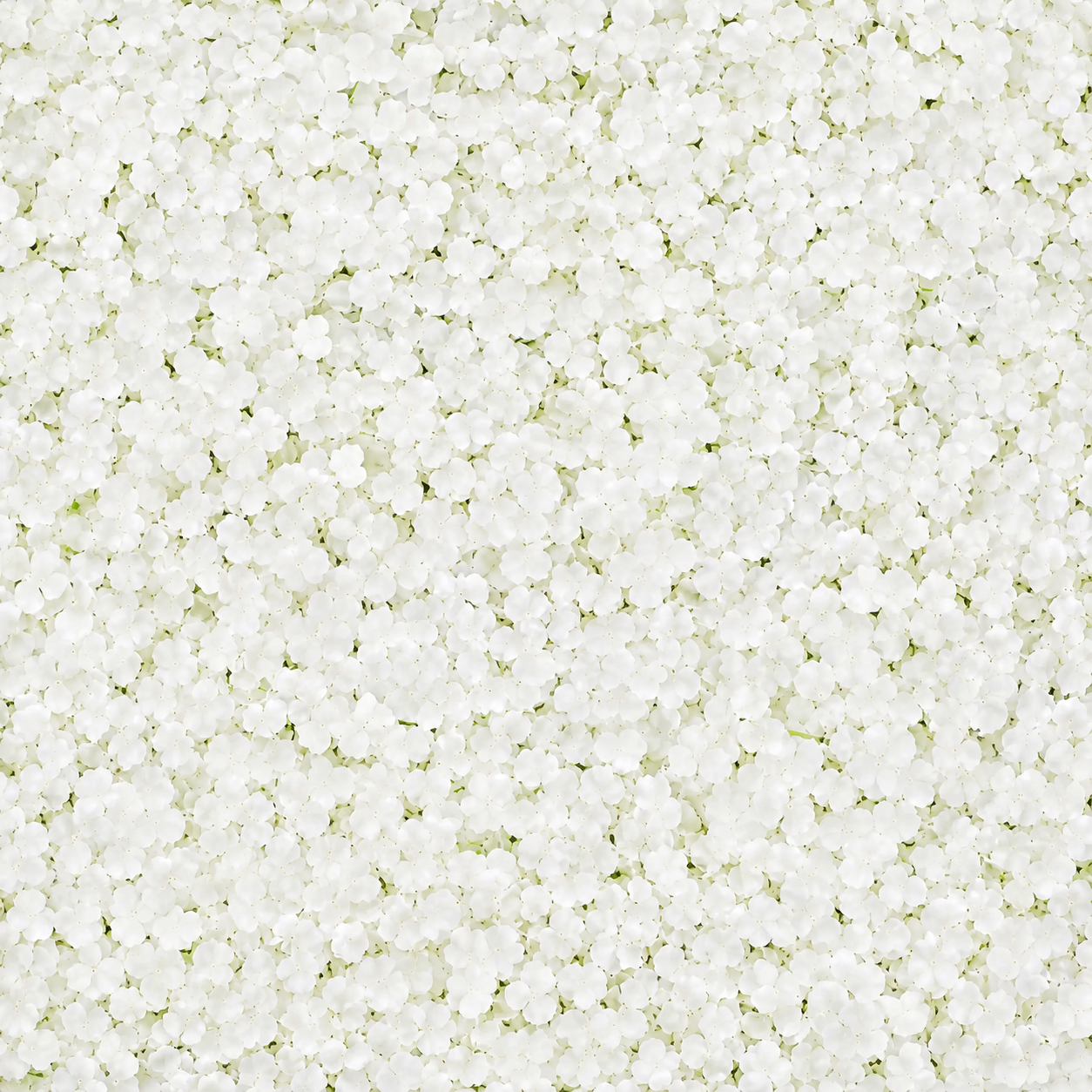 HYDRANGEA FLOWER MAT