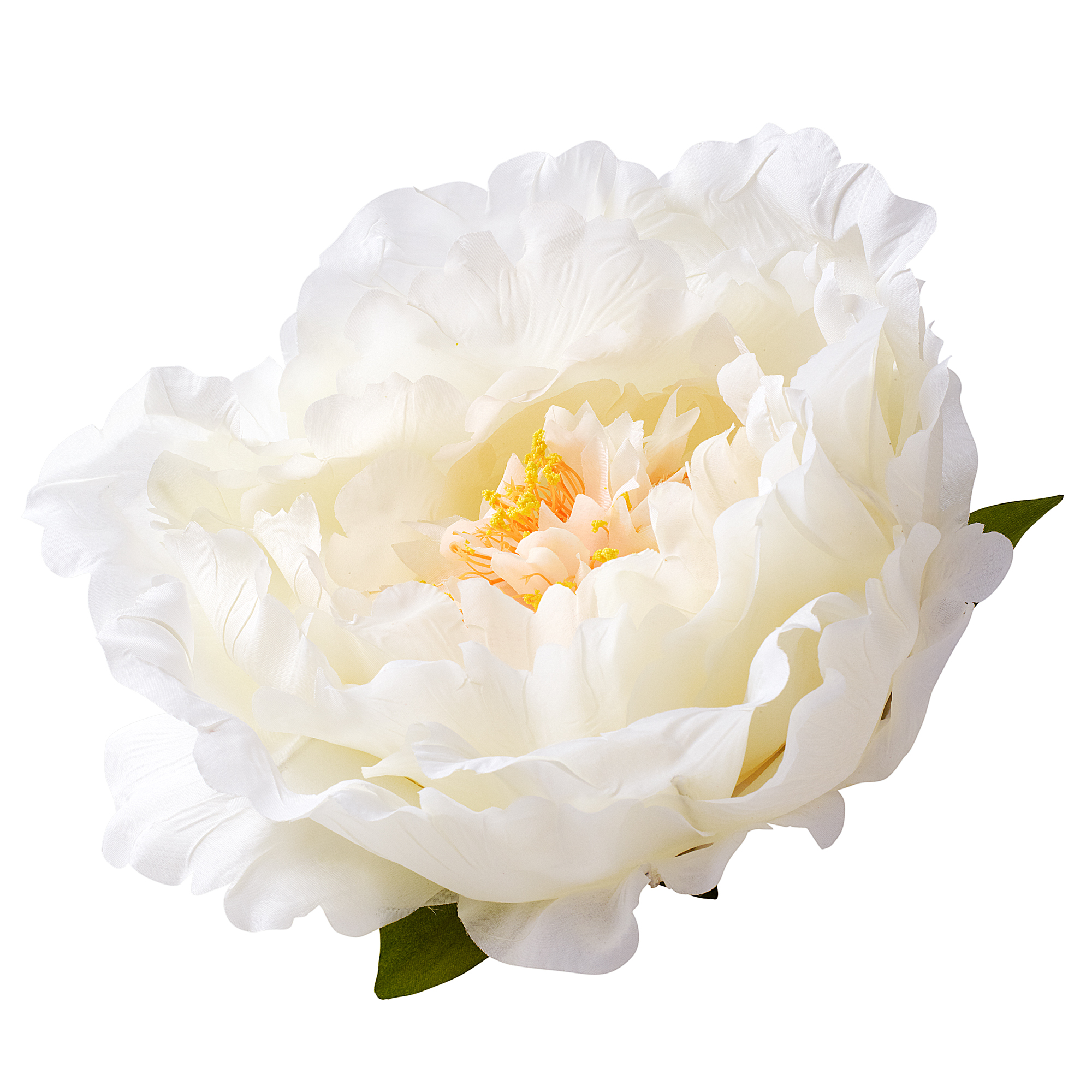 PEONY HEAD - XXL - Ivory