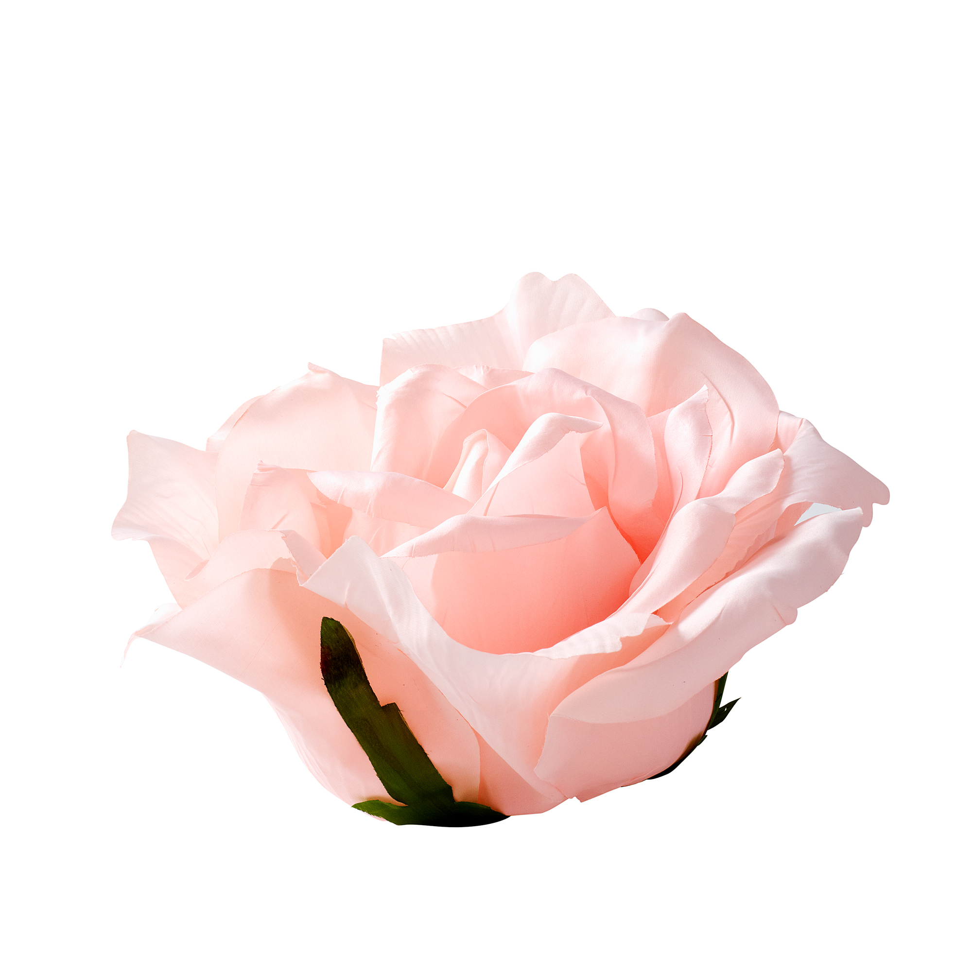 ROSE HEAD - XXL - Pink