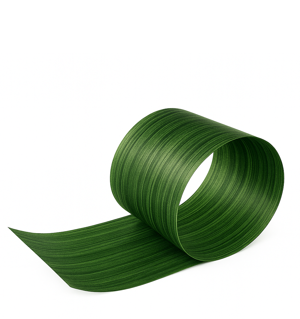 ASPIDISTRA GREEN LEAF RIBBON | 50-Yards Per Roll