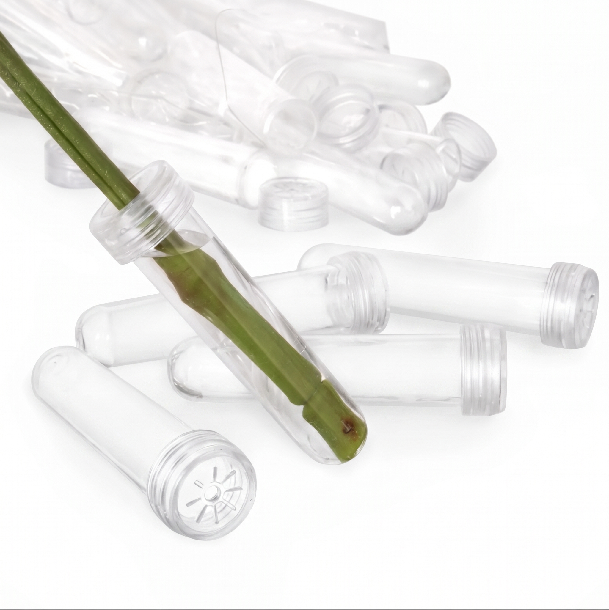 PRE-CAPPED ROSE VIAL | 100-Piece per Pack - 4" × 0.6"