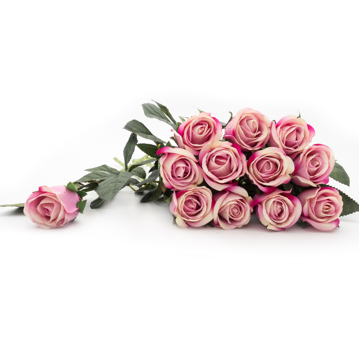 MINI ROSE