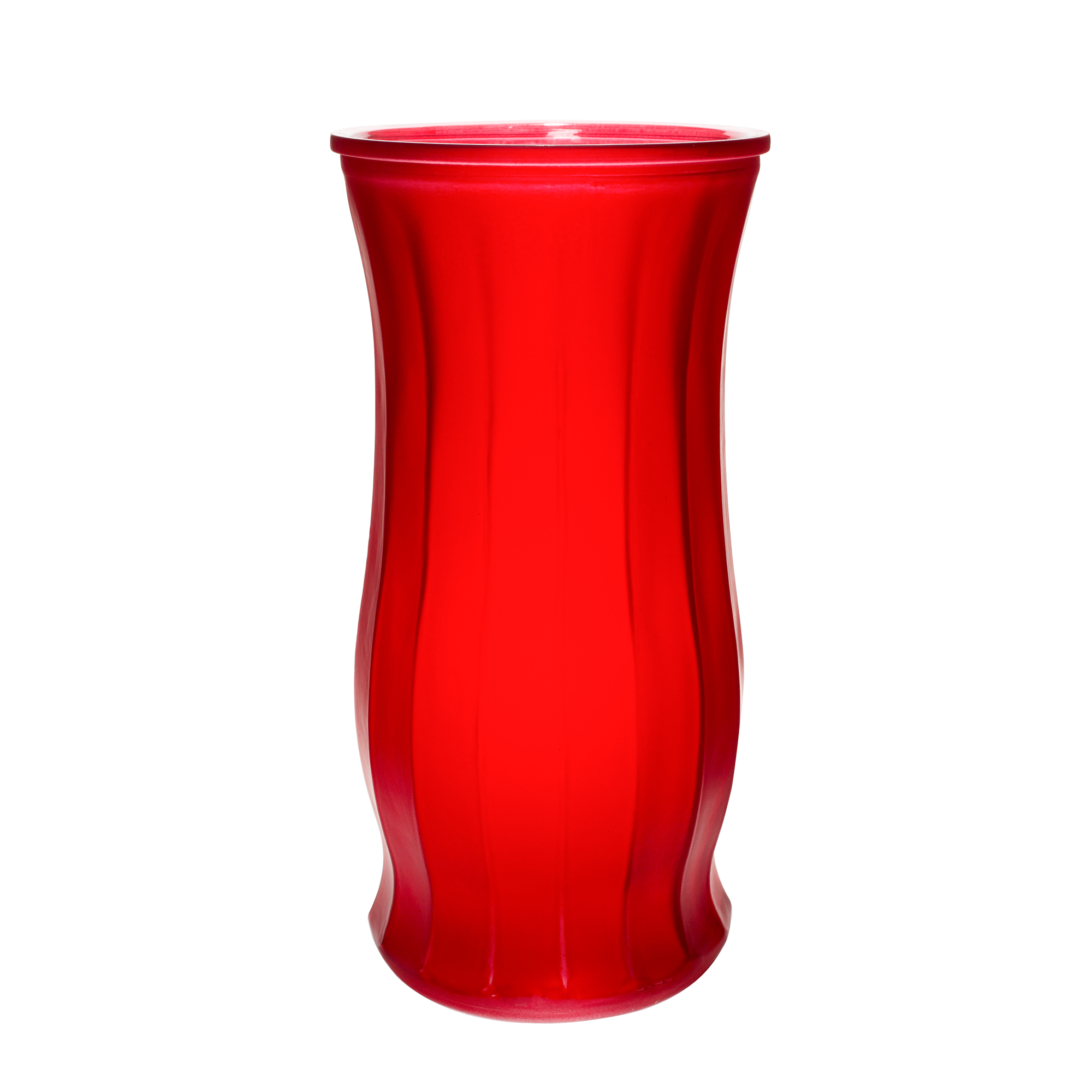 HALF DOZEN ROSE VASE - Red