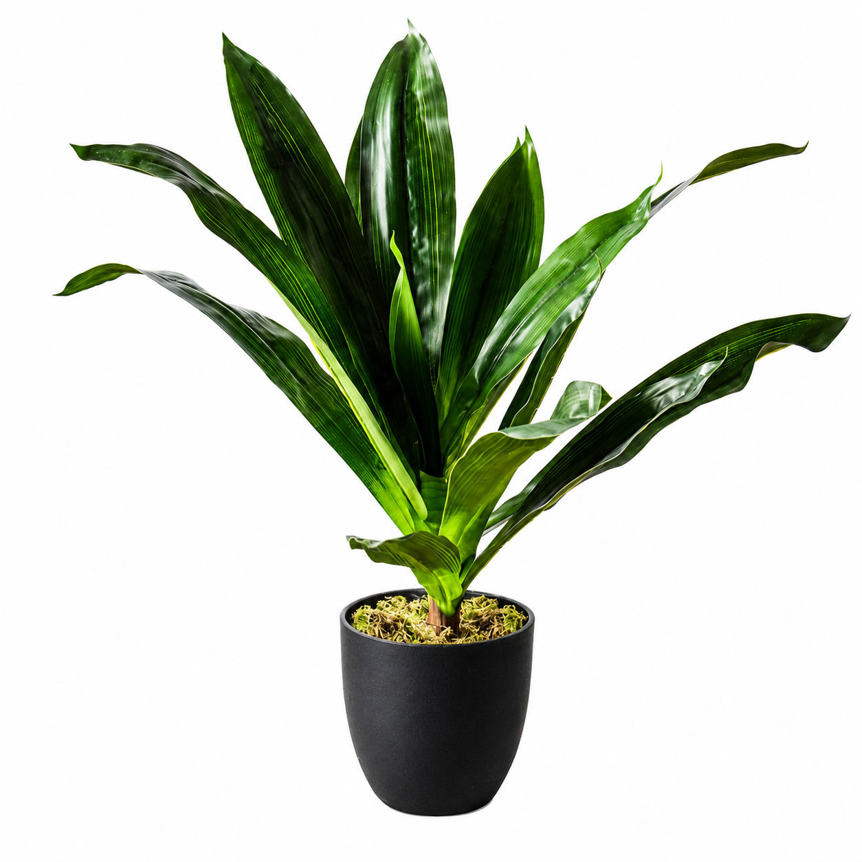 ARTIFICAL DRACAENA PLANT