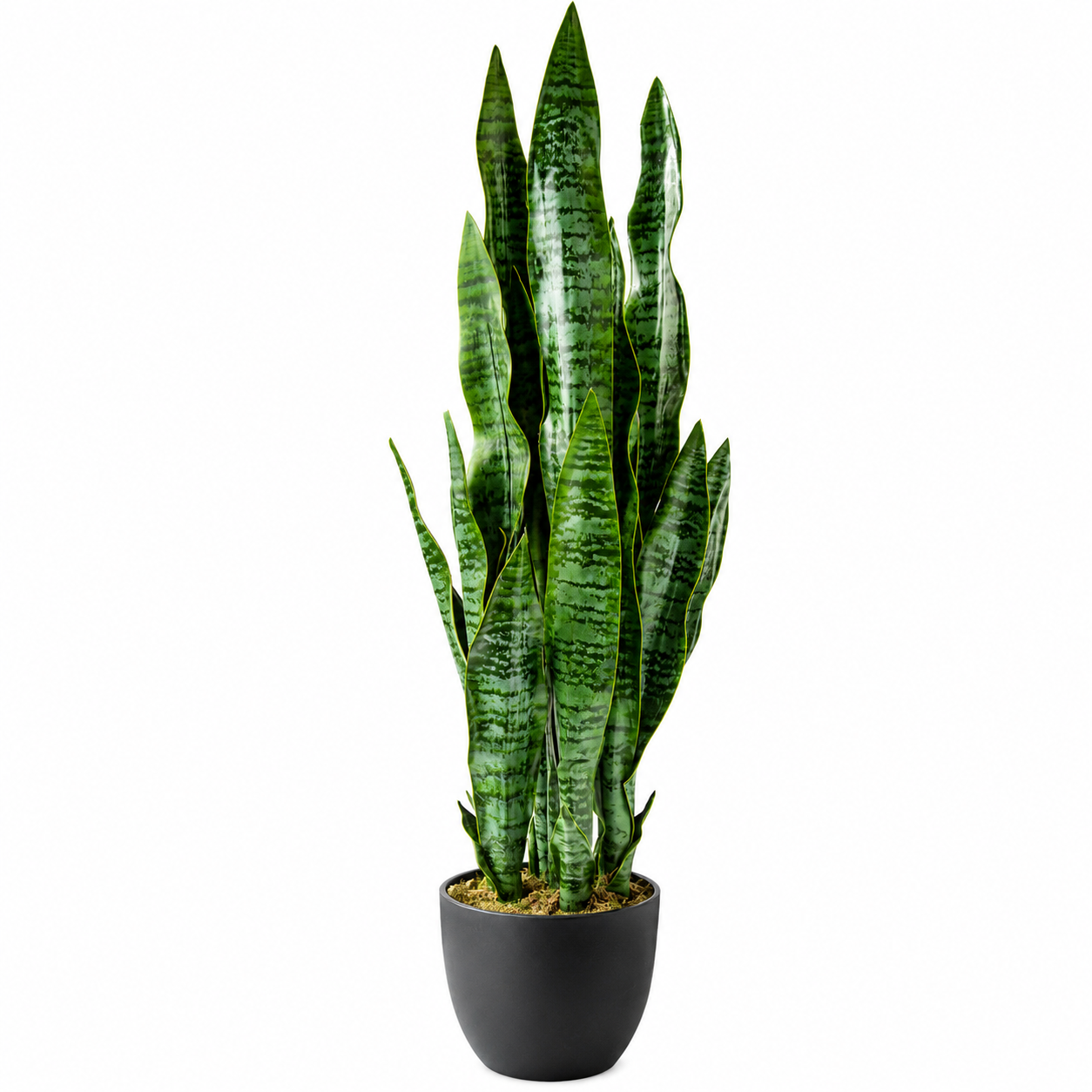 ARTIFICIAL SANSEVIERIA PLANT
