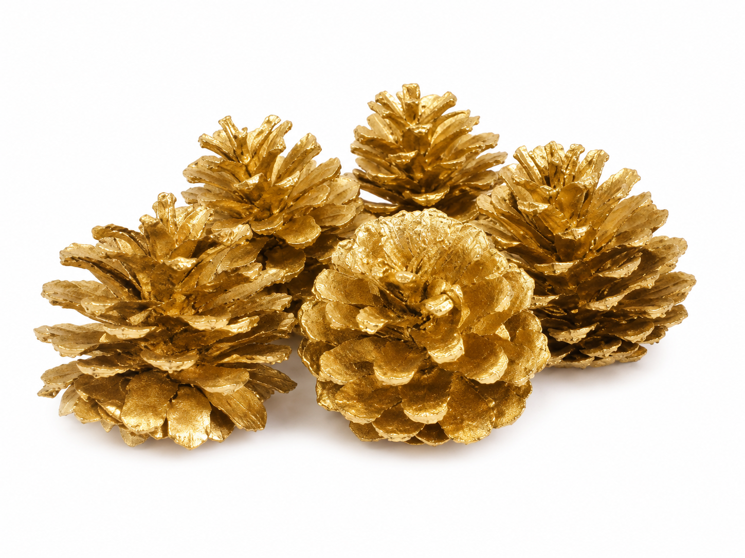 AUSTRICA PINE CONES