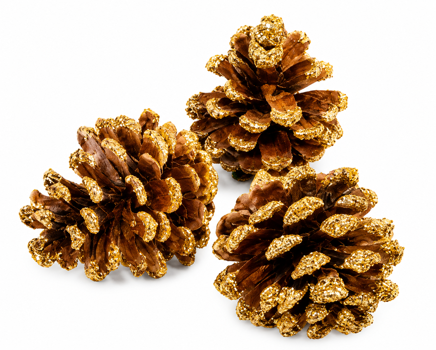 AUSTRICA PINE CONES