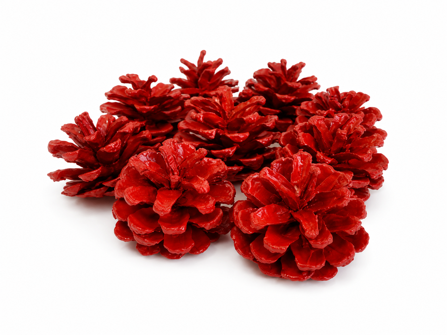 AUSTRICA PINE CONES