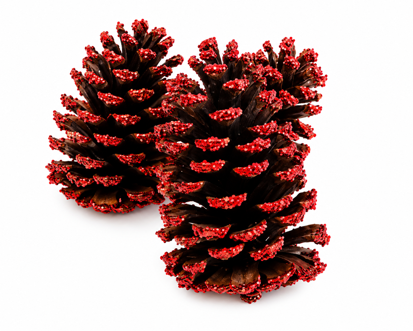 AUSTRICA PINE CONES