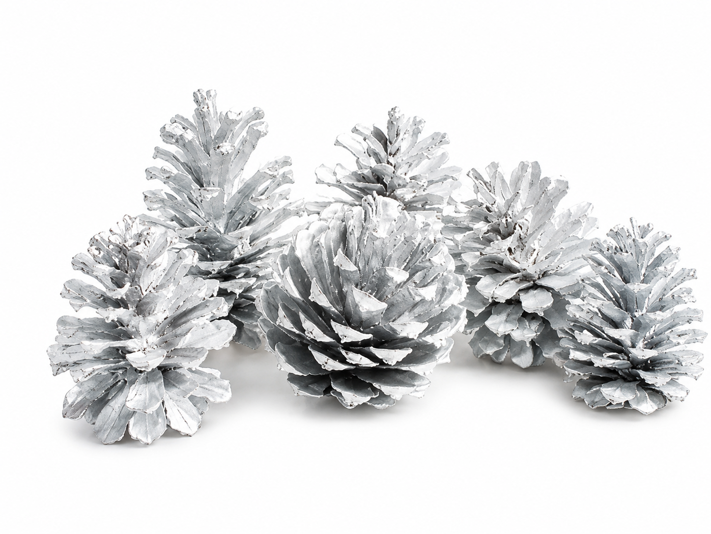 AUSTRICA PINE CONES