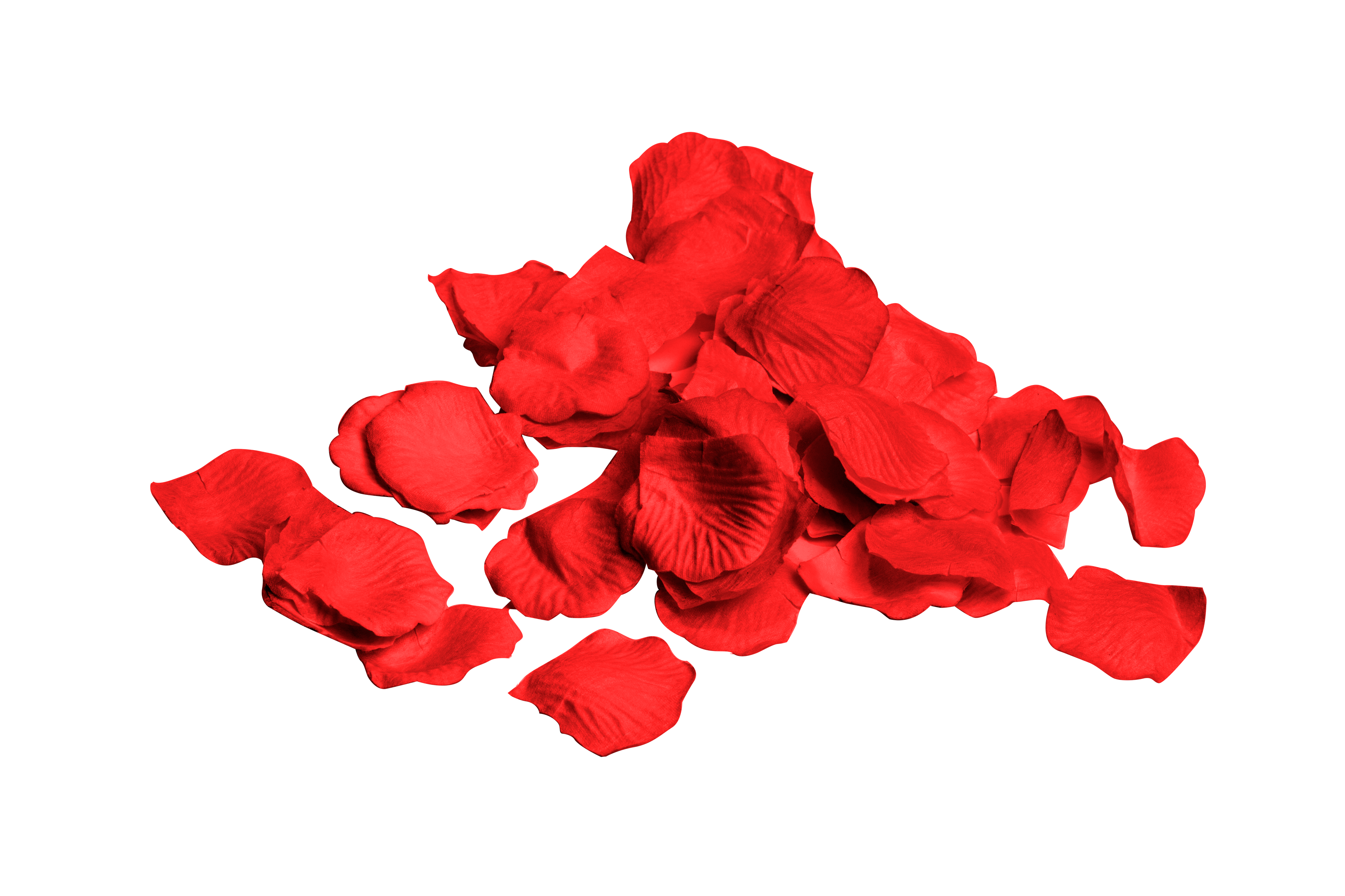 ROSE PETALS | 1000-Piece per Bag - Red