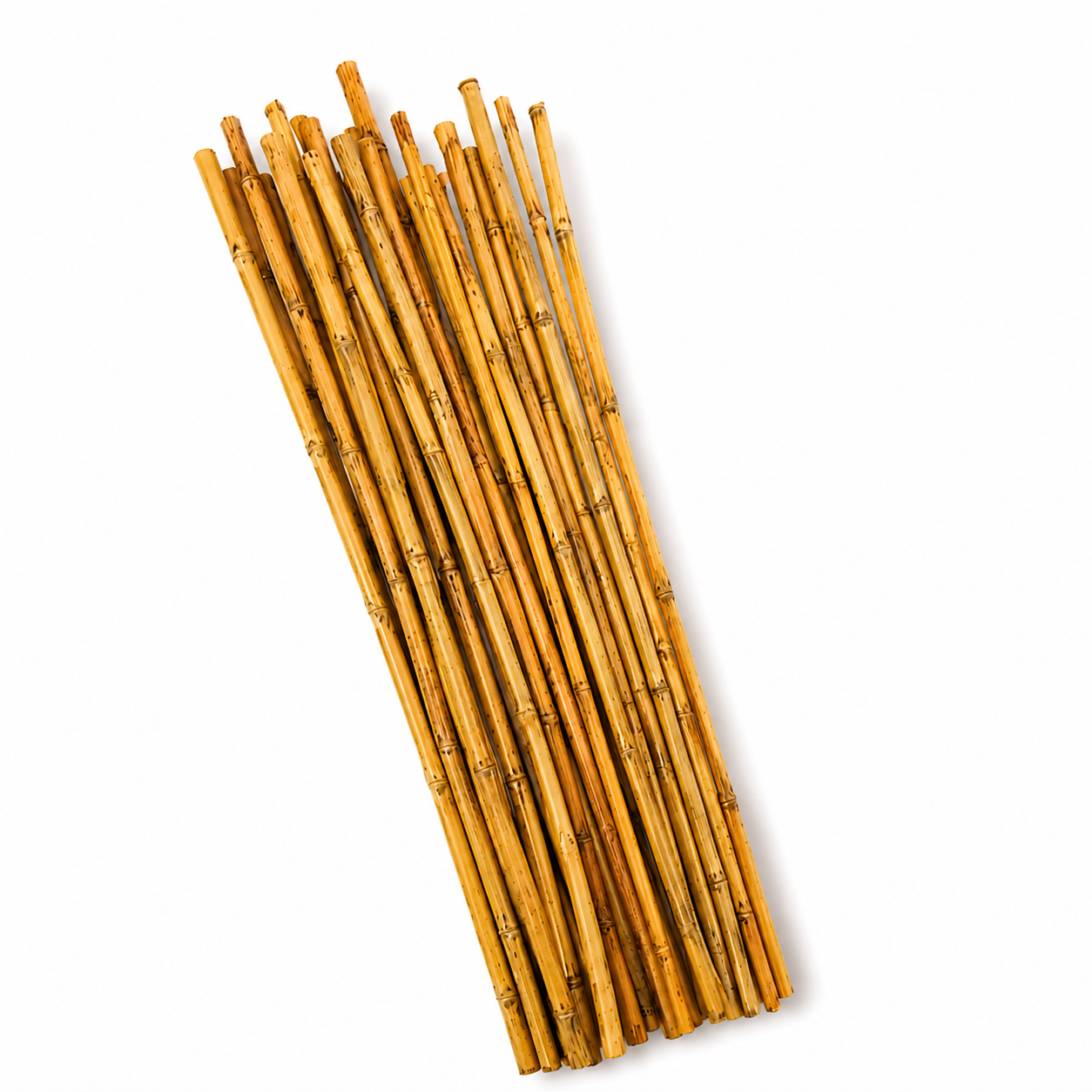 RIVER CANE | 25-Piece per Pack