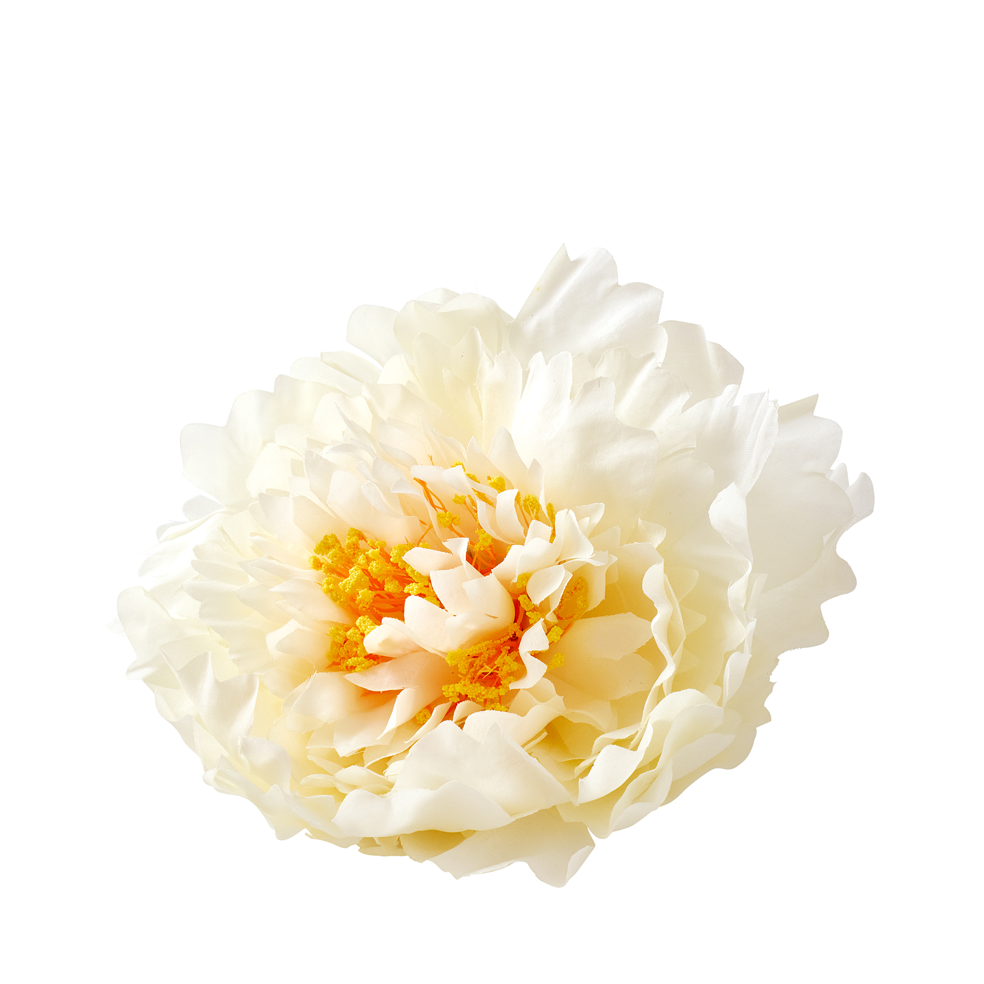 PEONY HEAD - XL - Ivory