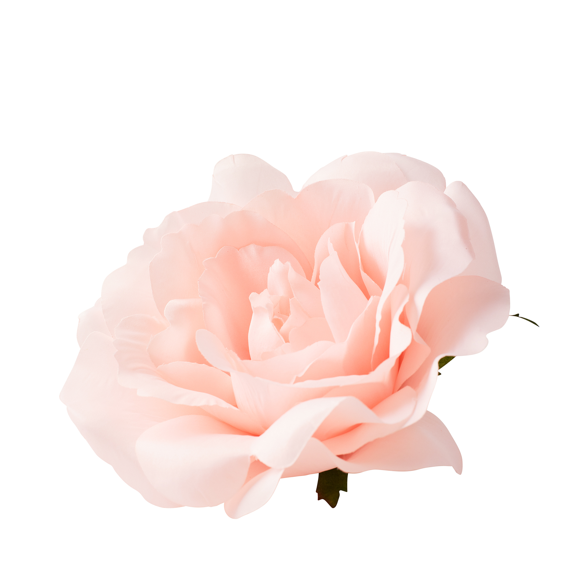 ROSE HEAD - XL - Pink