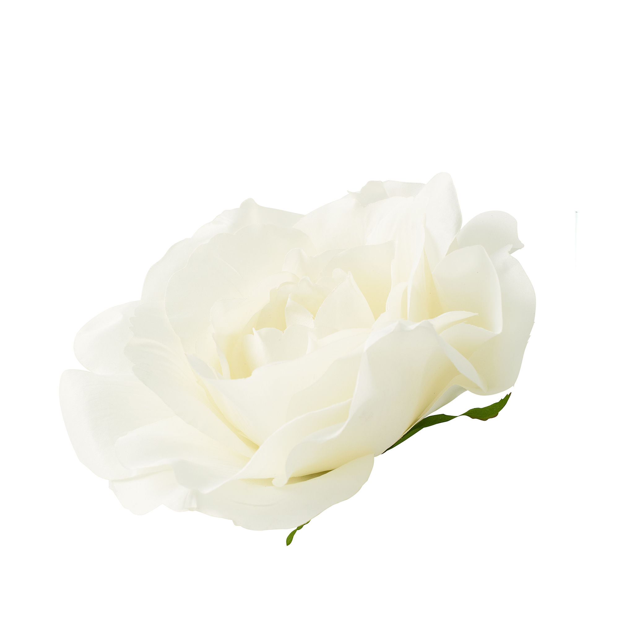 ROSE HEAD - XL - Ivory