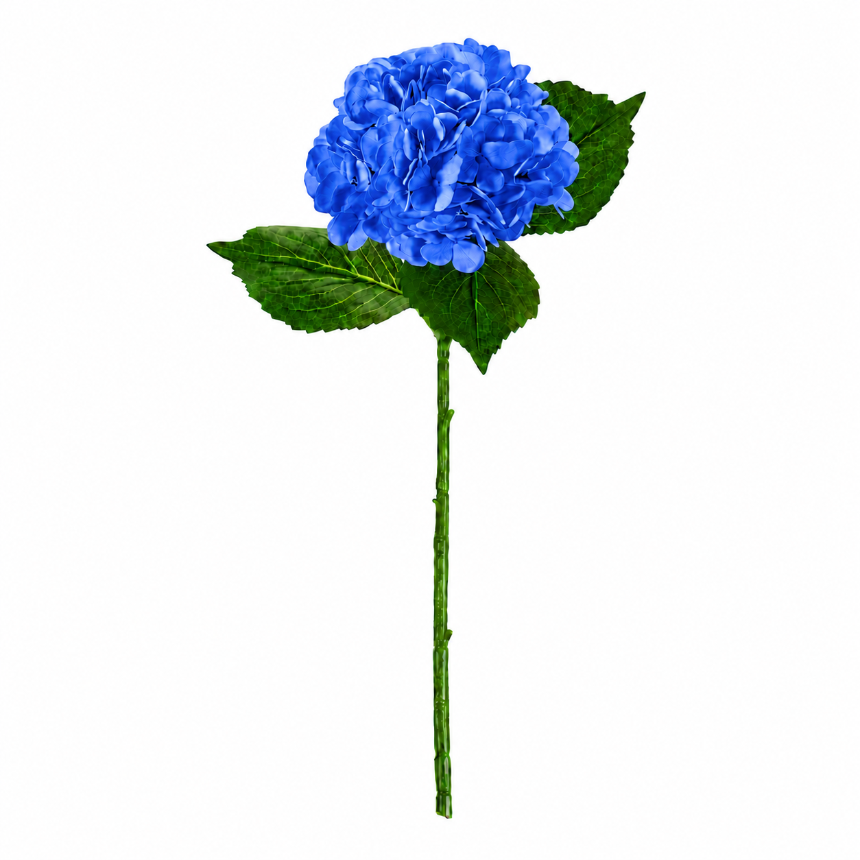 SINGLE STEM HYDRANGEA