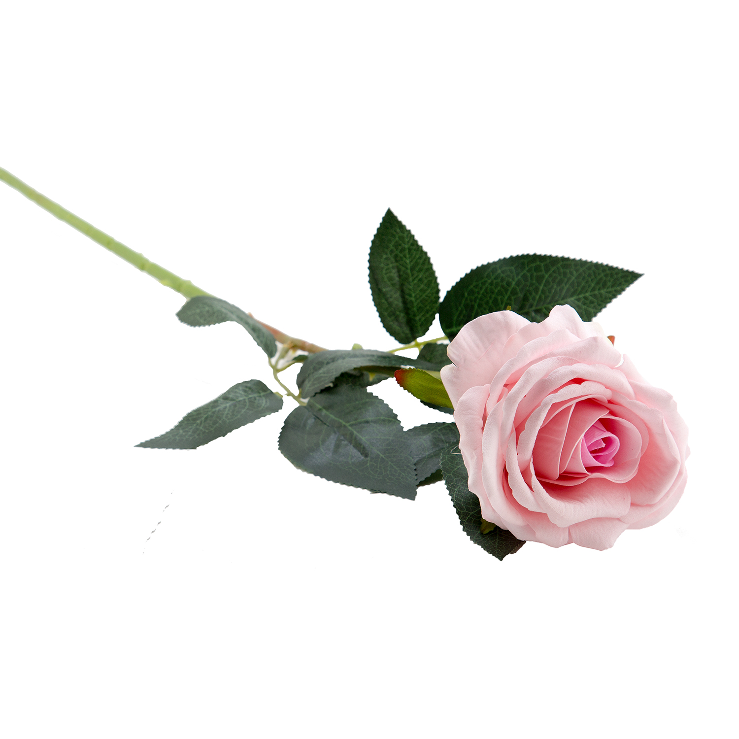 SINGLE ROSE | 12-Piece per Pack - Pink