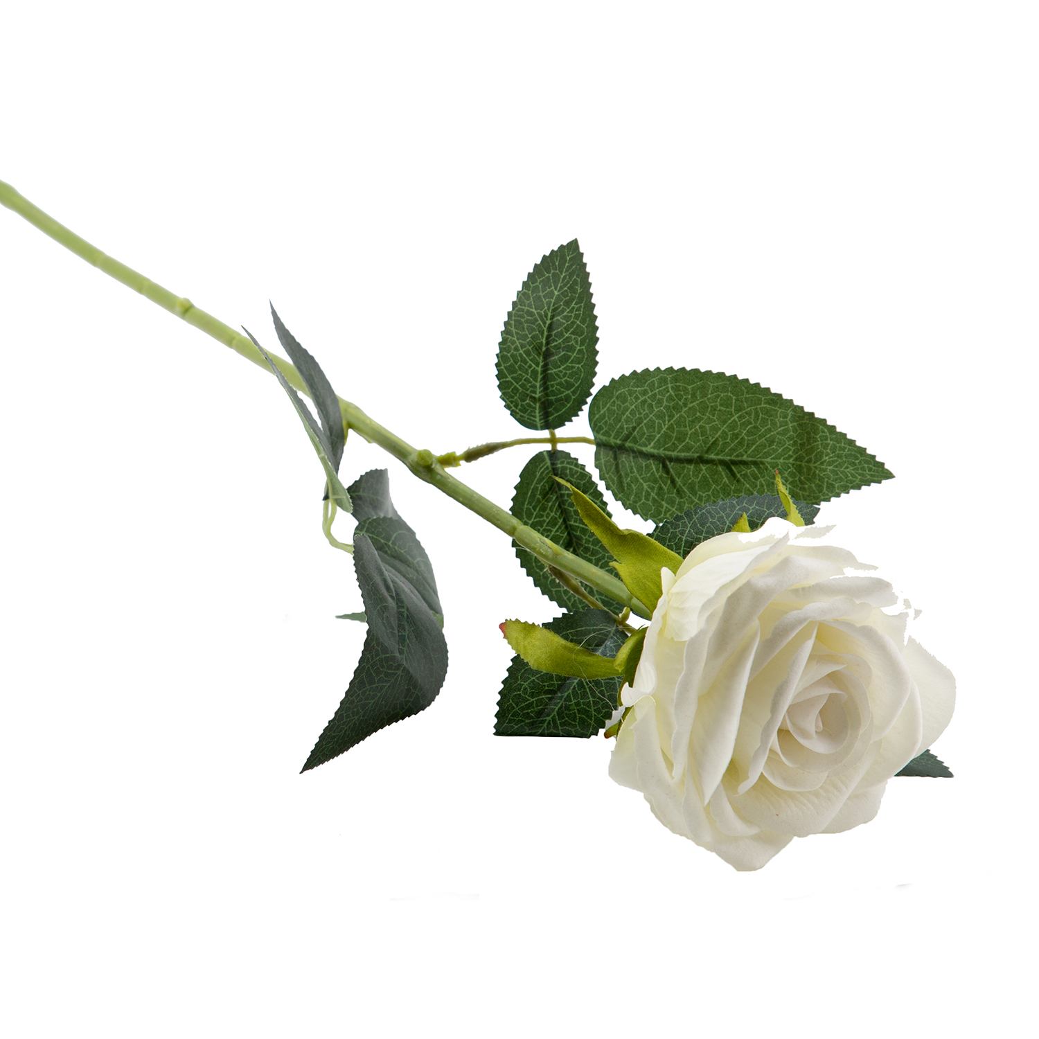 SINGLE ROSE | 12-Piece per Pack - White