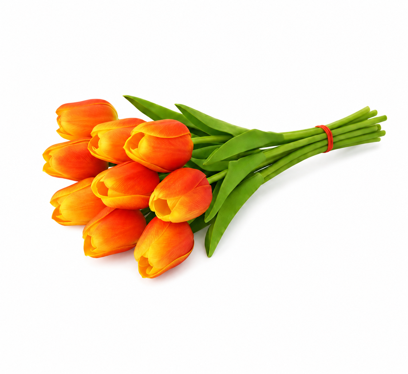 TULIP | 9-Heads per Pack