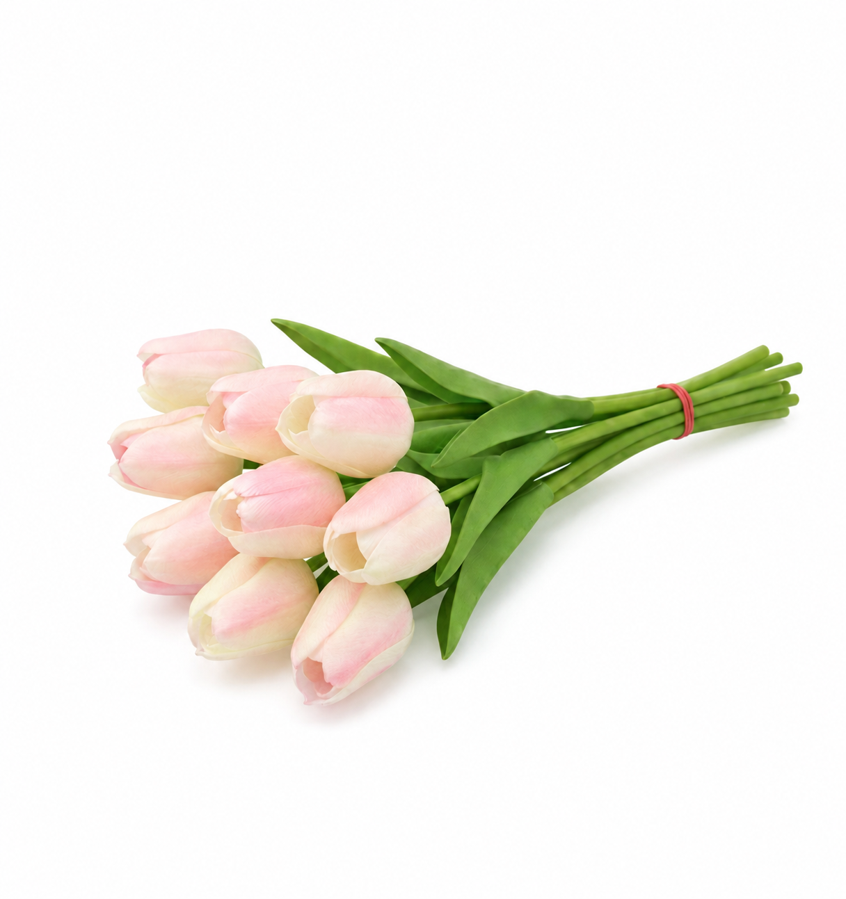 TULIP | 9-Heads per Pack