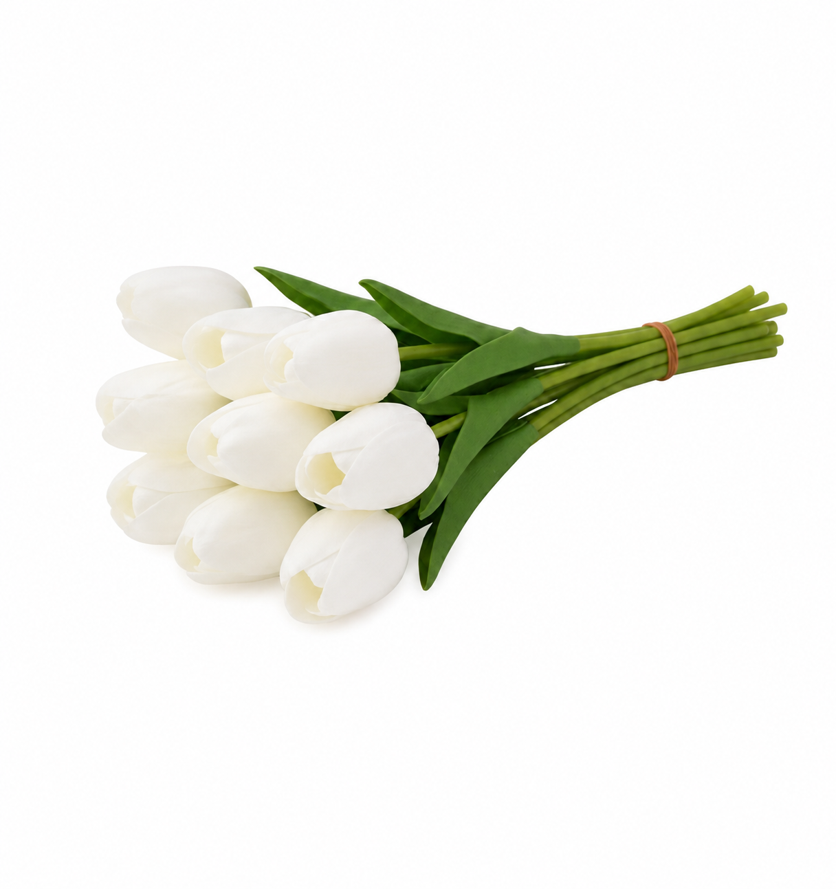 TULIP | 9-Heads per Pack