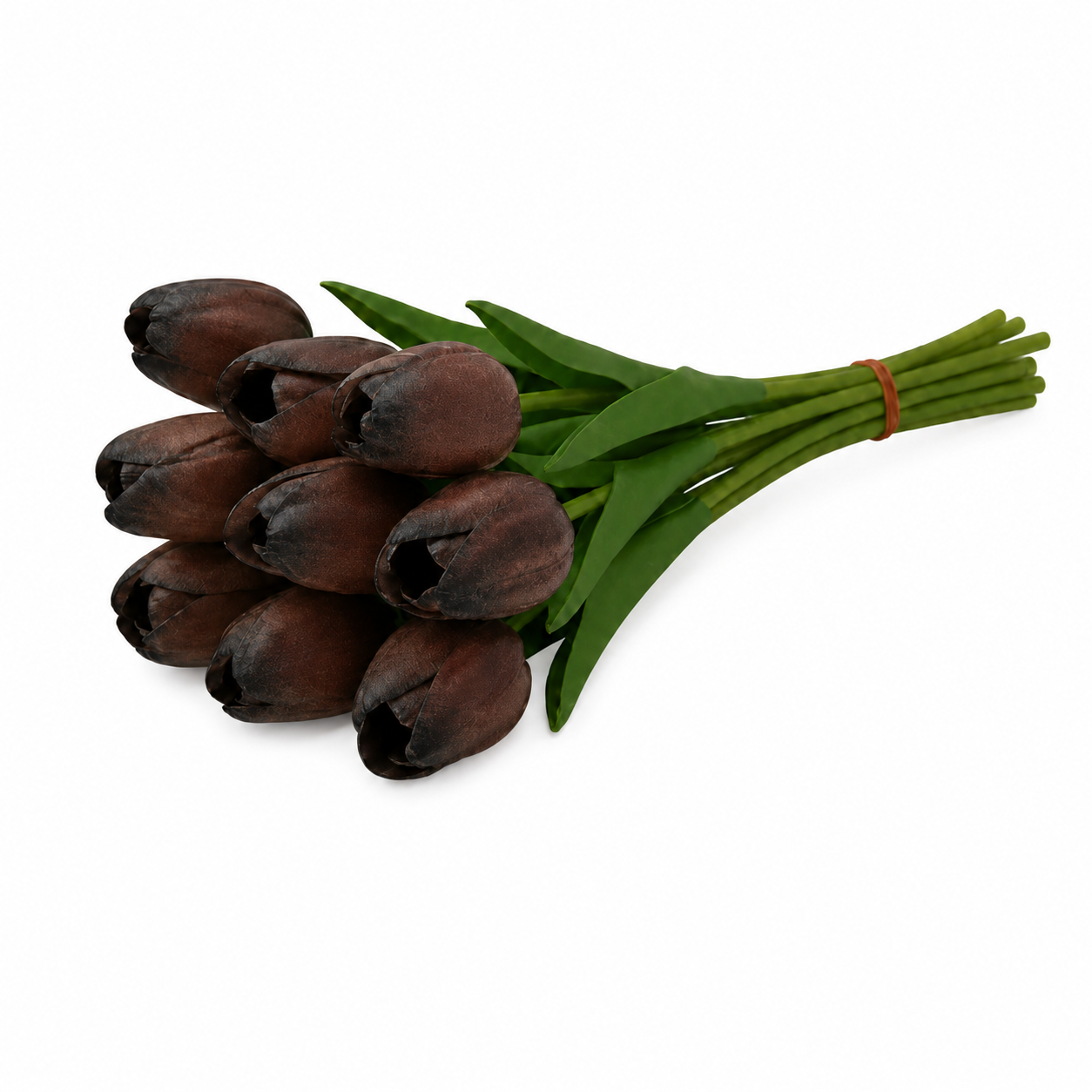TULIP | 9-Heads per Pack